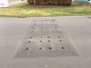 Die Stelle, an der das Berliner Kissen zum Schutz der Kinder im Kleegarten montiert war.